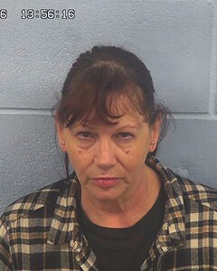 Mugshot of LISA HOSKINS/LEE