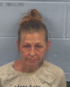 Mugshot of MELISSA RIDDLESPUR