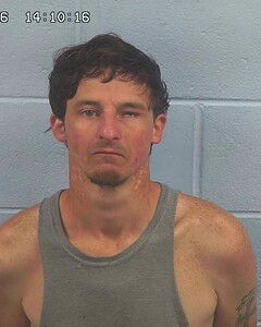 Mugshot of TOBY COLQUITT