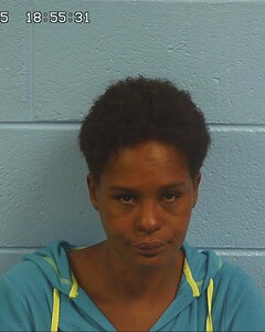 Mugshot of CYNTHIA DUNCAN