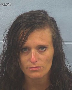 Mugshot of HEATHER EVANS