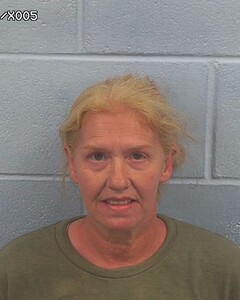 Mugshot of MELISSA CHILDREY