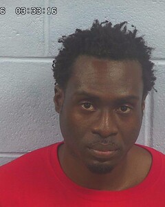 Mugshot of WILNICK LOZANDIER
