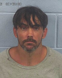 Mugshot of JAMES BURNS