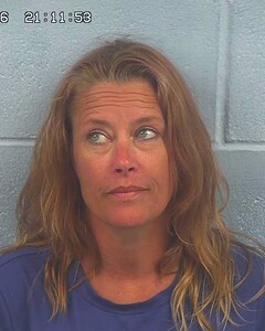 Mugshot of MEGHAN HOLLIS
