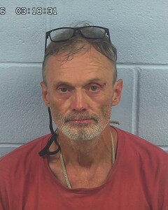 Mugshot of RAY BROWN