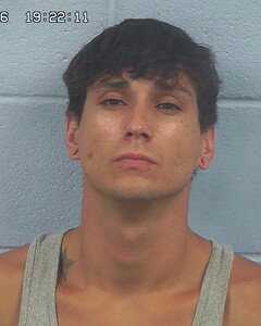 Mugshot of ANDREW OWENS