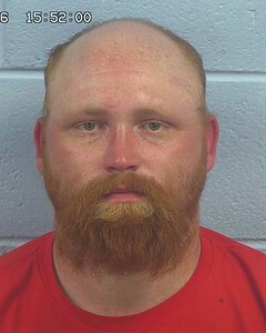 Mugshot of LARRY GREEN