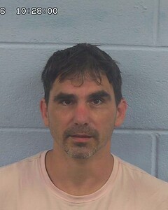 Mugshot of BRANDON SIMS