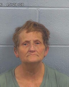 Mugshot of DIANA BURRIS