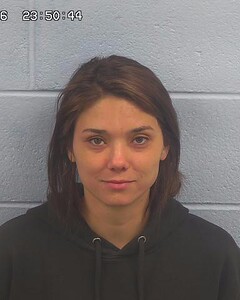 Mugshot of DALLAS LEE