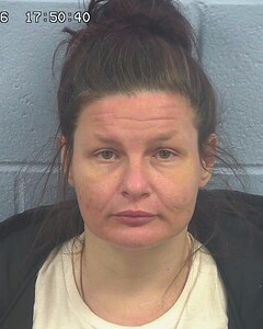 Mugshot of AMANDA AKINS