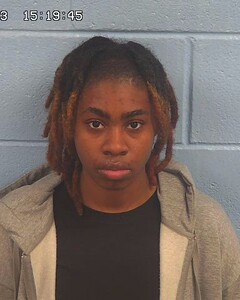 Mugshot of BRITTANIE WILLIAMS