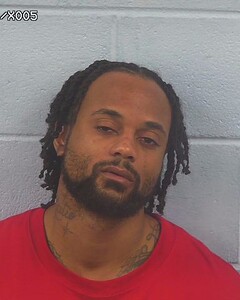 Mugshot of HUORATIO FERGUSON
