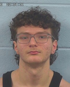 Mugshot of SAMUEL MCGINNIS