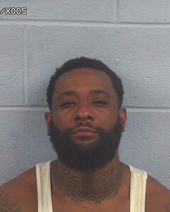 Mugshot of DEMETRIE BORDEN