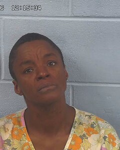 Mugshot of SHANNON BLAYLOCK