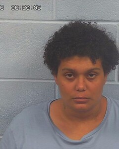 Mugshot of BREANNA WILSON