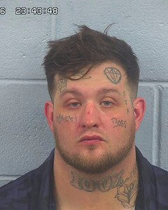 Mugshot of MARK WHISENANT