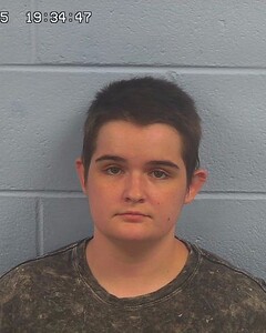 Mugshot of LILLIAN COLBURN