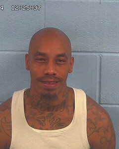 Mugshot of BARDON KING