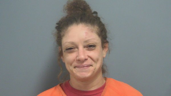Mugshot of ERIN BAILEY WILLIAMS