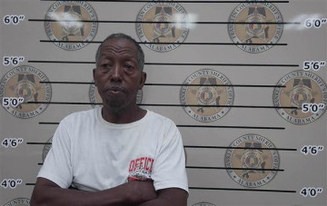 Mugshot of RAY NELSON