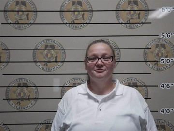 Mugshot of ERICA LAWLER