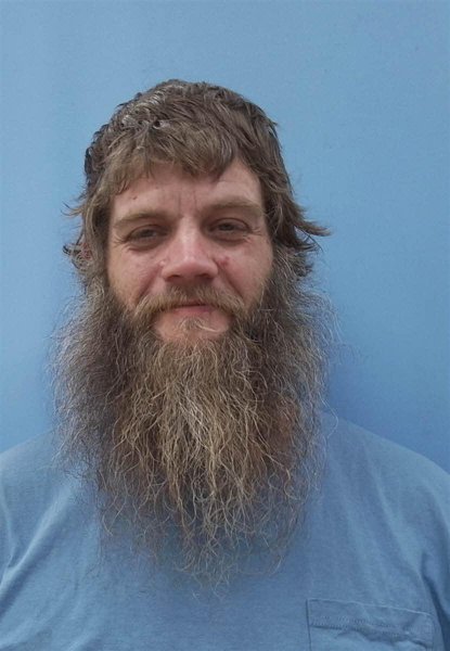 Mugshot of ROBERT LEE