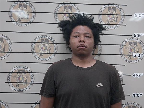 Mugshot of RYAN NELSON