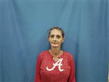 Mugshot of LESA CAYSON