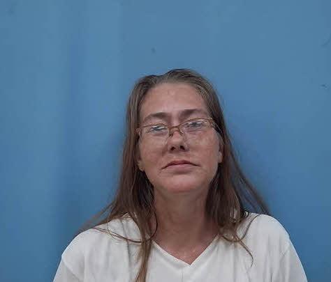 Mugshot of STACEY BATES