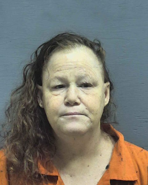 Mugshot of Jennifer Anne Davis