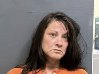 Mugshot of Lisa Ann Dempsey