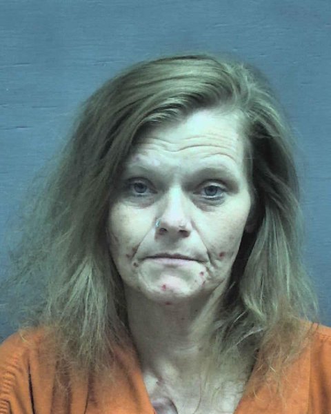Mugshot of Amanda Denise Hudson