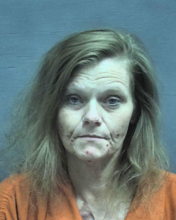 Mugshot of Amanda Denise Hudson