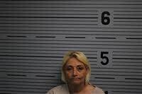 Mugshot of TERRI HAISLIP