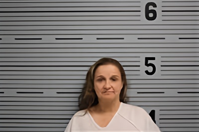 Mugshot of LISA YURIS