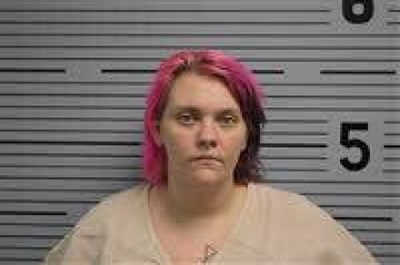 Mugshot of ERICA ELLIS