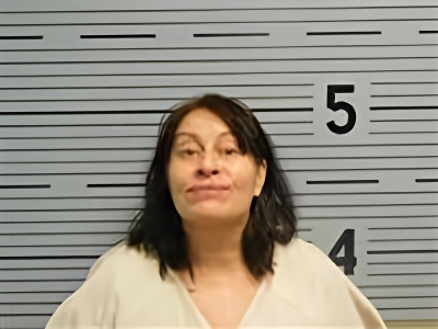 Mugshot of TAMARA SHELTON