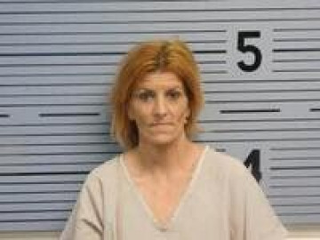 Mugshot of APRIL STEELE