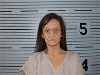 Mugshot of BRANDY COOK