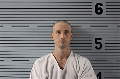 Mugshot of NICK WILLIAMS