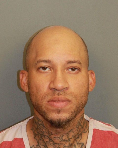 Mugshot of DAVID FERNANDEZ Senior SIMMONS