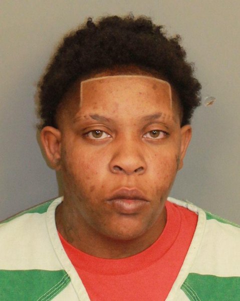 Mugshot of CAMILLE ELISE HAMLER