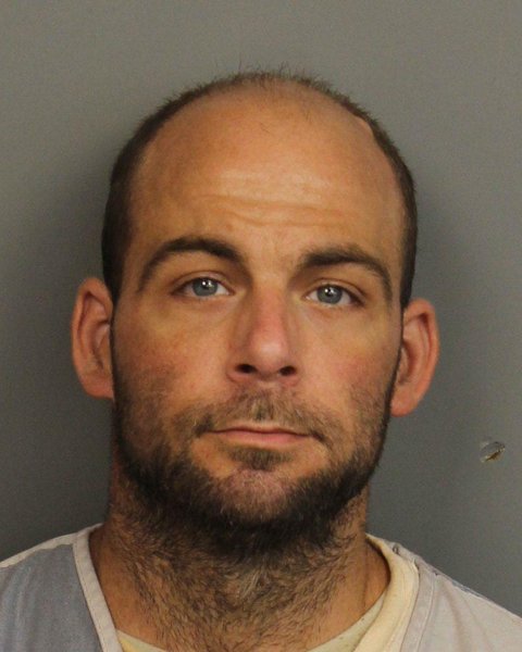 Mugshot of DAVID GREGORY LEWIS