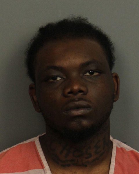 Mugshot of ANTONIO LOUIS Junior WILLIAMS