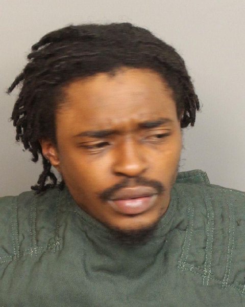 Mugshot of THEODORIC RAPHAEL Junior BOGLIN