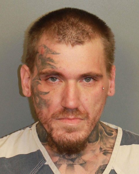Mugshot of MICHAEL LLOYD STOUT