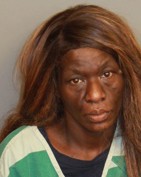 Mugshot of BRENDA ANN MORROW
